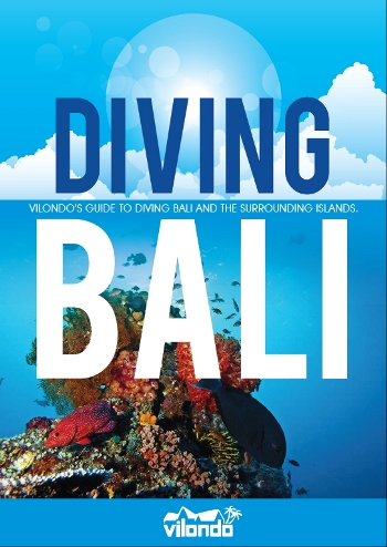 Diving Bali Cover